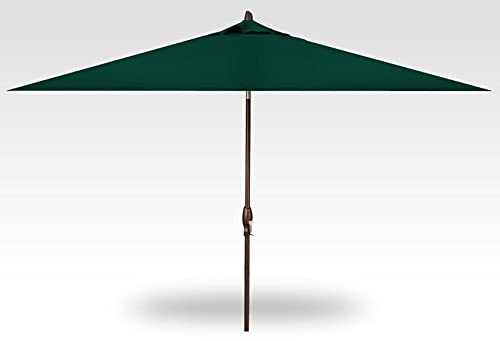 Treasure Garden 8 x 10-Foot Deluxe Auto-Tilt Rectangular Market Umbrella with Bronze Frame and Obravia2 Fabric: Forest Green