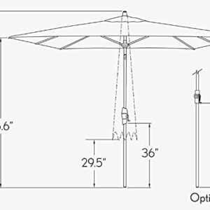 Treasure Garden 8 x 10-Foot Deluxe Auto-Tilt Rectangular Market Umbrella with Bronze Frame and Obravia2 Fabric: Forest Green