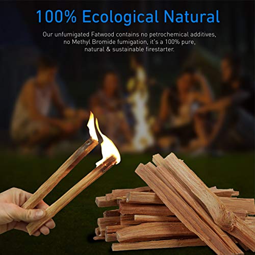 EasyGoProducts Eco-Stix Fatwood Fire Starter Kindling Firewood Sticks – 100% Organic – Firestarter for Wood Stoves, Fireplaces, Campfires, Bonfires, 25 Lbs