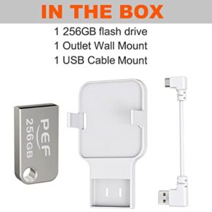 256GB Blink USB Flash Drive and Outlet Wall Mount for Blink Sync Module 2, Space Saving for Blink Outdoor Indoor Security Camera (Blink Sync Module 2 is NOT Included)