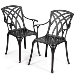 giantex set of 2 outdoor dining chairs, cast aluminum chairs with armrest, 2-pack patio armchairs for garden, backyard