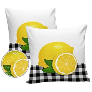 Vandarllin Outdoor Throw Pillows Covers 18X18 Set of 2 Waterproof Lemon Summer Fruit Decorative Zippered Lumbar Cushion Covers for Patio Furniture, Black White Buffalo Check Plaid