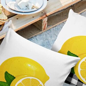 Vandarllin Outdoor Throw Pillows Covers 18X18 Set of 2 Waterproof Lemon Summer Fruit Decorative Zippered Lumbar Cushion Covers for Patio Furniture, Black White Buffalo Check Plaid