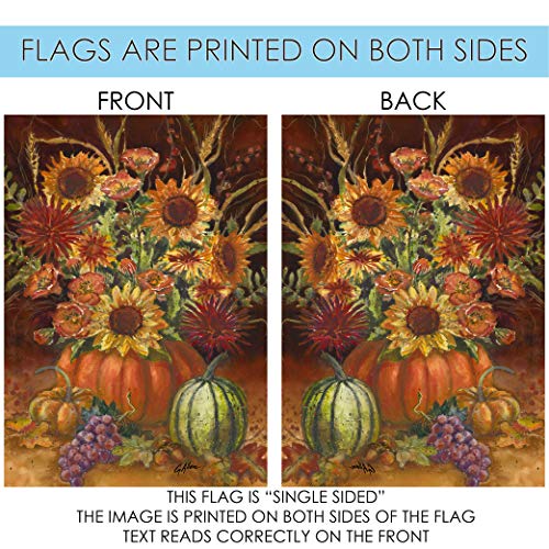 Toland Home Garden 102529 Fall Burst Fall Garden Flag 28x40 Inch Double Sided for Outdoor House Yard Decoration