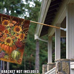 Toland Home Garden 102529 Fall Burst Fall Garden Flag 28x40 Inch Double Sided for Outdoor House Yard Decoration