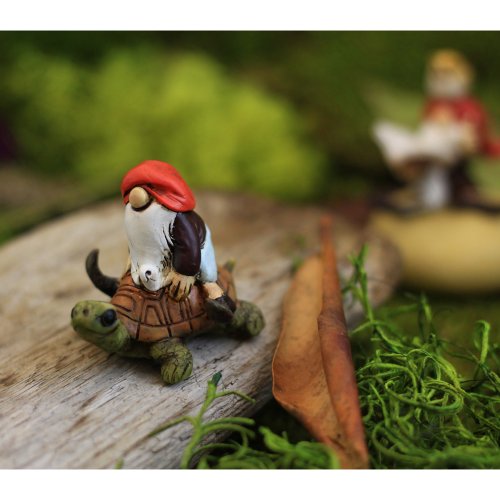 Top Collection Miniature Fairy Garden and Terrarium Gnome Riding on Turtle Statue