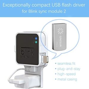 256GB Blink USB Flash Drive for Local Video Storage with The Blink Sync Module 2 Mount (Blink Add-On Sync Module 2 is NOT Included),2Pack