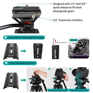 Video Tripod, COMAN KX3636 74 inch Professional Heavy Duty Aluminum Tripod with Quick Release Plate and 360 Degree Fluid Head for DSLR, Camcorder, Cameras Max Load:17.6lbs/8Kg