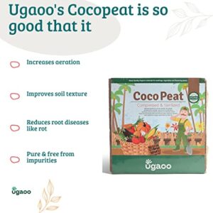 Cocopeat Brick 5 Kg Block for Gardening & Plants, Expands into Coco Peat Powder