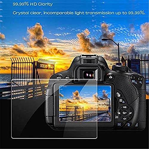 PCTC Screen Protector for EOS R5 Top Appliable for Canon R5 / R5 C Full-Frame Mirrorless Camera (2+2Pack), 0.3mm 9H Hardness Tempered Glass Screen Cover, 2* Hot Shoe Cap Cover (Ladybug & Bee)