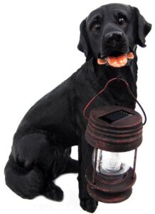 black labrador dog with lantern garden solar light