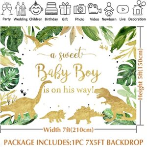 Avezano Dinosaur Baby Shower Backdrops for Boy Jungle Safari Dino Theme Roar It's a Boy Party Decorations Banner Dinosaur Hatching Soon Baby Boy Shower Background Supplies (7x5ft)