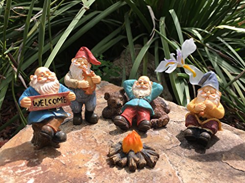 GlitZGlam Happy Gnomes Camp - 6 Piece Garden Gnome Set for The Miniature Fairy Garden