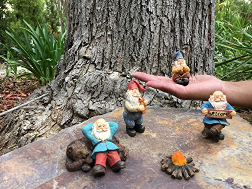 GlitZGlam Happy Gnomes Camp - 6 Piece Garden Gnome Set for The Miniature Fairy Garden