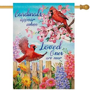 covido home decorative cardinals appear when loved ones are near spring house flag, summer bird garden yard dogwood daisy flower outside decoration inspirational outdoor large decor double sided 28×40