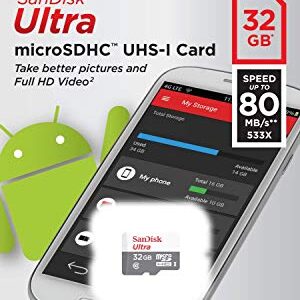 Sandisk 32GB 32G Micro SDHC Ultra (10 Pack) MicroSD TF Flash Memory Card High Speed Class 10 SDSQUNB-0032G-GN3MN with Everything But Stromboli Memory Card Reader