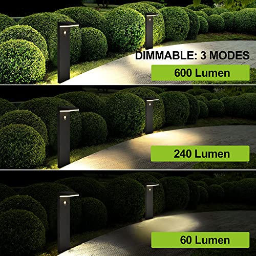 BRIMMEL Solar Light Outdoor, Super Bright 600 Lumen LED Landscape Lamp, Motion Sensor Dusk-to-Dawn Auto ON/OFF Cast Aluminum Waterproof Cordless Garden Light for Pathway Driveway 20", 3000k Warm White