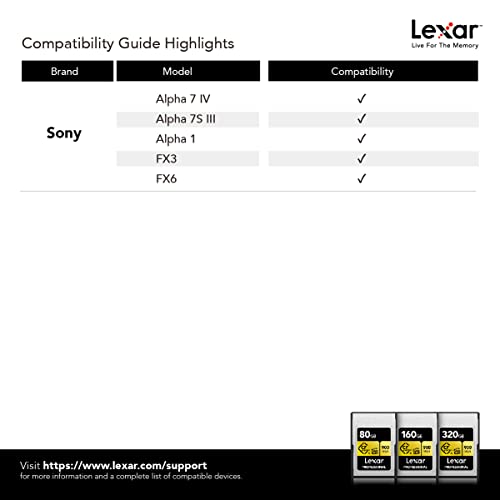 Lexar Professional 80GB CFexpress Type A Gold Series Memory Card, Up to 900MB/s Read, Cinema-Quality 8K Video, Rated VPG 400 (LCAGOLD080G-RNENG)