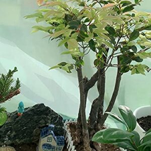 4pcs Mini Fence for Fairy Garden, 35.5 inch Wood Miniature Picket Fence Border Decoration for DIY Bonsai, Succulents, Plant Pots, Dollhouse Yard, Miniature Village Garden Ornament 4 Colors
