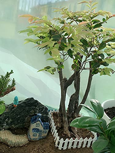 4pcs Mini Fence for Fairy Garden, 35.5 inch Wood Miniature Picket Fence Border Decoration for DIY Bonsai, Succulents, Plant Pots, Dollhouse Yard, Miniature Village Garden Ornament 4 Colors