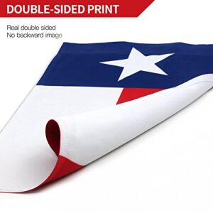 ANLEY Double Sided Premium Garden Flag, Texas State The Lone Star State US Patriotic Garden Flags for Home Decor - Weather Proof & Double Stitched Yard Flags - 18 x 12.5 Inch