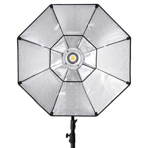 Godox Octagon Softbox 37 inch/95cm Photography Light Diffuser and Modifier with Bowens Speedring Mount for Monolight Photo Studio Strobe Lighting