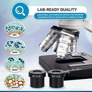 AmScope - 40X-2500X LED Digital Binocular Compound Microscope with 3D Stage + 5MP USB Camera