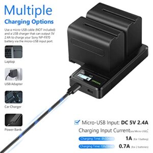 Neewer Fast Charger Dual USB with 2-Pack 6600mAh Replacement NP-F970 Batteries, Compatible with Sony NP-F970 F960 F950 F770 F750 F570 F550 ,Handycam and Neewer Led Light, Monitor, Motorized Slider