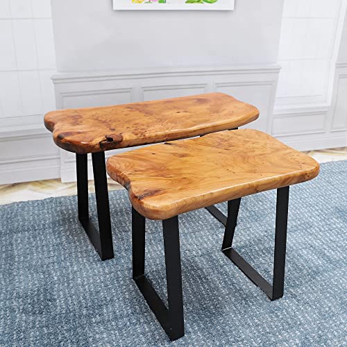 Warmaxx Natural Shape Solid Wood Entryway Bench Cedar Root 20"x12"x16" Living Room End Table Rustic Live Edge Accent Coffee Table Side Table with Metal Legs Bedroom Outdoor Vintage Garden Foot Stool