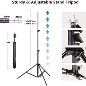 Backdrop Stand 6.5x10ft, ZBWW Photo Video Studio Adjustable Backdrop Stand for Parties, Wedding, Photography, Advertising Display with 12 pcs Balloons