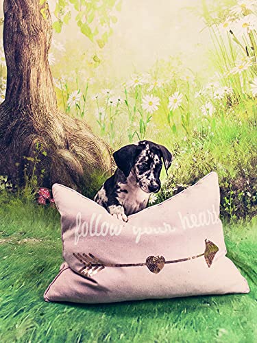 AOSTO 5x7ft Spring Photography Backdrop Easter Woodland Meadow Flower Fairy Tale Forest Background Photo Studio Photoshoot Backdrops Props FT-3992