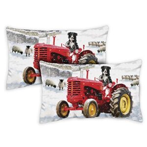 Toland Home Garden Tractor Dog 12 x 19 Inch Indoor, Pillow, Case (2-Pack)