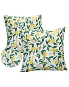 waterproof outdoor throw pillow cover yellow lemon fruits lumbar pillowcases set of 2 green leaves plant decorative patio furniture pillows for couch garden 18×18 inch