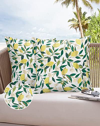 Waterproof Outdoor Throw Pillow Cover Yellow Lemon Fruits Lumbar Pillowcases Set of 2 Green Leaves Plant Decorative Patio Furniture Pillows for Couch Garden 18x18 inch