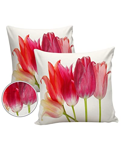 Outdoor Waterproof Throw Pillow Covers Set of 2, Elegant Tulip Flower Outdoor Pillow Covers Decorative Cushion Covers for Patio Funiture Garden, 18 x 18 Inches, Floral Pink Red