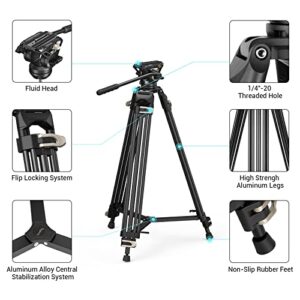 SmallRig AD-01 Video Tripod, 73" Heavy Duty Tripod with 360 Degree Fluid Head and Quick Release Plate for DSLR, Camcorder, Cameras(3751)