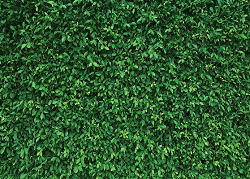 LYWYGG 7x5FT Green Leaves Photography Backdrops Nature Backdrop Birthday Background for Birthday Party Seamless Photo Booth Prop Backdrop CP-87