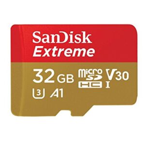 32GB SanDisk Extreme (Five Pack) 4K Micro Memory Card (SDSQXAF-032G-GN6MN) UHD Video Speed 30 UHS-1 V30 32G MicroSD HC Bundle with (1) Everything But Stromboli Card Reader