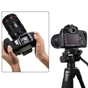 Weewooday 2 Pieces Tripod Quick Release Plate Tripod Adapter Mount Camera Tripod Adapter Plate Parts for Tripods and Cameras Tripod Mount QB-4W (35 x 35 mm/ 1.38 x 1.38 Inch)