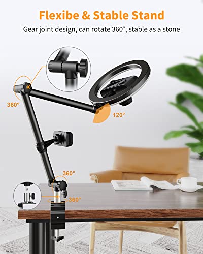 LUOLED Ring Light with Stand and Phone Holder, USB 10'' Ring Light for Desk, Overhead Camera Mount with Ring Light, Desktop Ring Light with Clamp for Photography/Makeup/Live Stream Video/YouTube