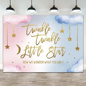 Lofaris Twinkle Twinkle Little Star Gender Reveal Backdrop Boy or Girl Pink or Blue How We Wonder What You are Golden Star Party Decoration Photography Background Cake Table Banner Wallpaper 7x5ft