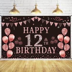 trgowaul happy 12th birthday decorations for girls – pink rose gold 12 birthday backdrop banner，twelve years old birthday party supply photography background birthday sign poster decor gift daughter