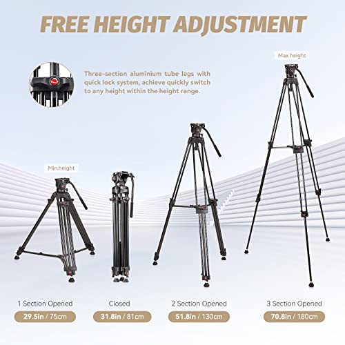 【2023 Upgrade】 RAUBAY 70.8" Professional Heavy Duty Video Camera Tripod with Fluid Head, QR Plate for DSLR Camcorder, Max Loading 17.6lbs, Aluminum Twin Tube Leg with Metal Mid-Level Spreader DV-1 PRO