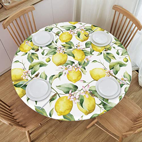 Lemon Round Fitted Table Cover Washable Reusable Elastic Edge Table Cloth for Patio Indoor Outdoor Kitchen Party Use