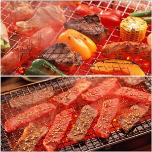 Multipurpose Stainless Steel Baking Wire Mesh Grill Bbq Net Mesh Barbecue Racks Picnic Tool for Family Gatherings, Garden Parties, Picnics