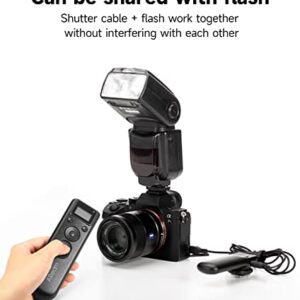 Wireless Digital Timer Remote Shutter Release Trigger Intervalometer for Canon EOS Rebel T6 T7 80D 70D 60D 60Da 77D T7i T6i T6s SL2 SL1 T5 T3 T5i T4i T3i T2i EOS R M6 M5 Cameras…