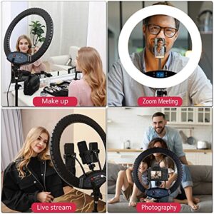 19 inch LED Ring Light LCD Display Touch Screen with Tripod Stand Dimmable Makeup Selfie Ring Light for Studio Portrait YouTube Vlog Video Shooting with Carrying Bag and Remote Controller, CRI>90