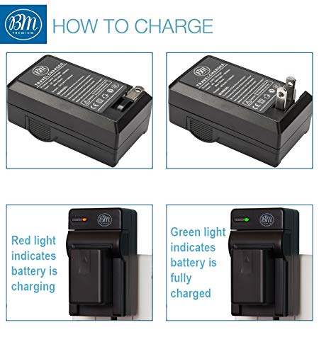 BM Premium 2-Pack of VW-VBT190 Batteries and Battery Charger for HC-V800K, HC-VX1K, HC-WXF1K, HCV520, HC-V550, HCV710, HCV720, HC-V750, HC-V770, HC-VX870, HC-VX981, HC-W580, HC-W850, HCWXF99