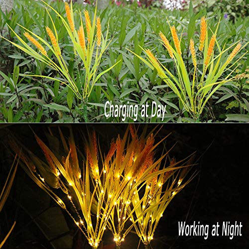 X-GiftKey Solar Stake Lights Outdoor Decorative, 2 Pack Wheat Ear LED Garden Lights,Mom's Garden Gift Waterproof Flower Lamp, Solar Landscape Light for Garden Yard Patio Pathway Decor(Yellow)