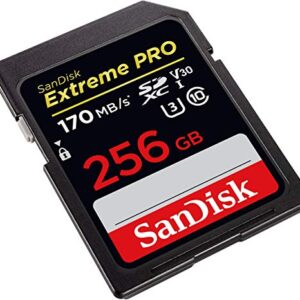 SanDisk 256GB Extreme PRO SDXC UHS-I Card - C10, U3, V30, 4K UHD, SD Card - SDSDXXY-256G-GN4IN